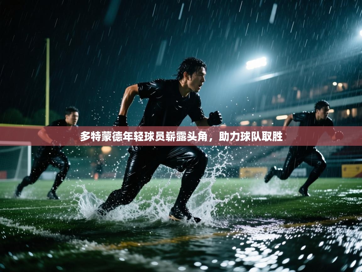 多特蒙德年轻球员崭露头角，助力球队取胜  第2张