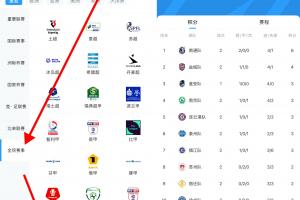 关于国米大胜，连胜红粉联赛积分榜第三的信息